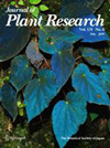 JOURNAL OF PLANT RESEARCH雜志封面